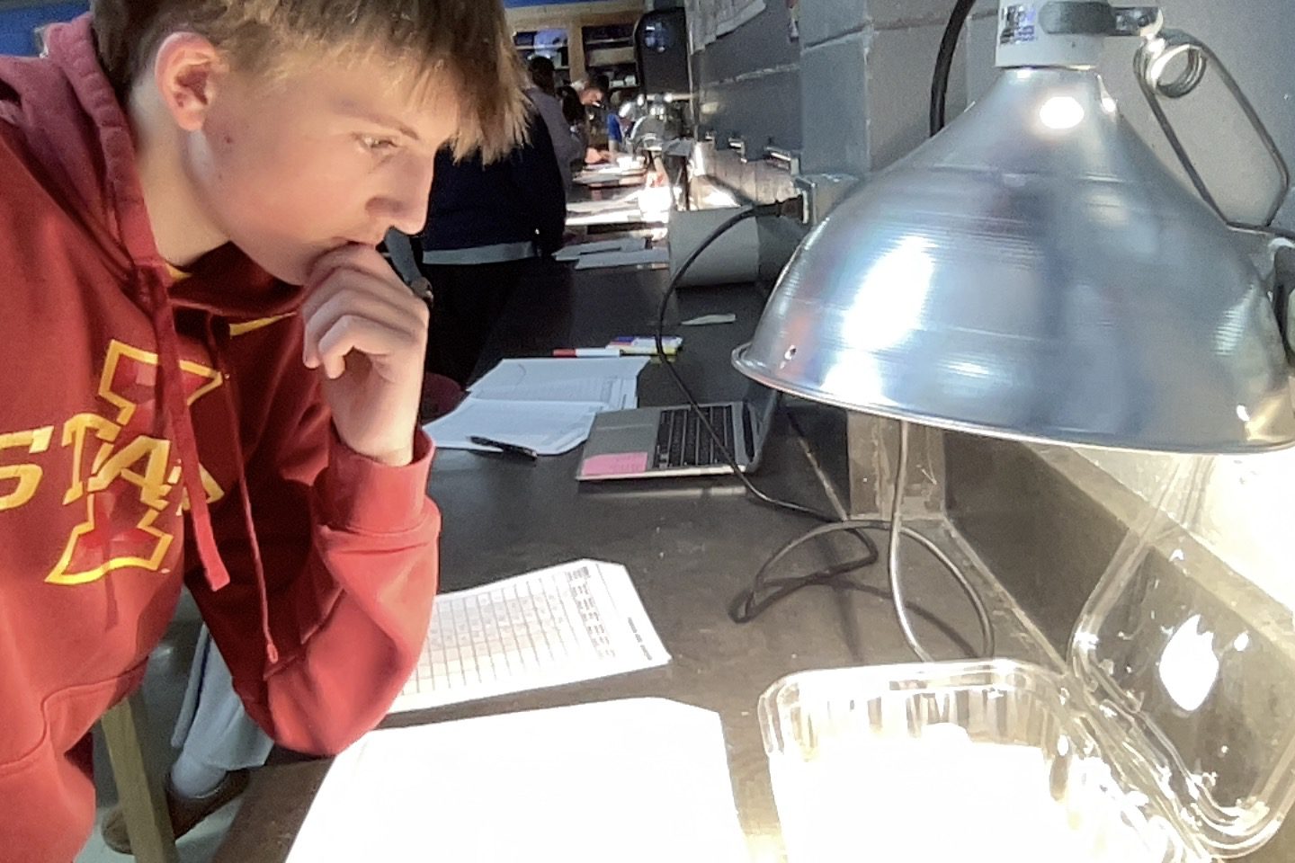 student around a laptop